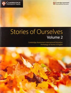 Copertina Stories Of Ourselves Vol.2