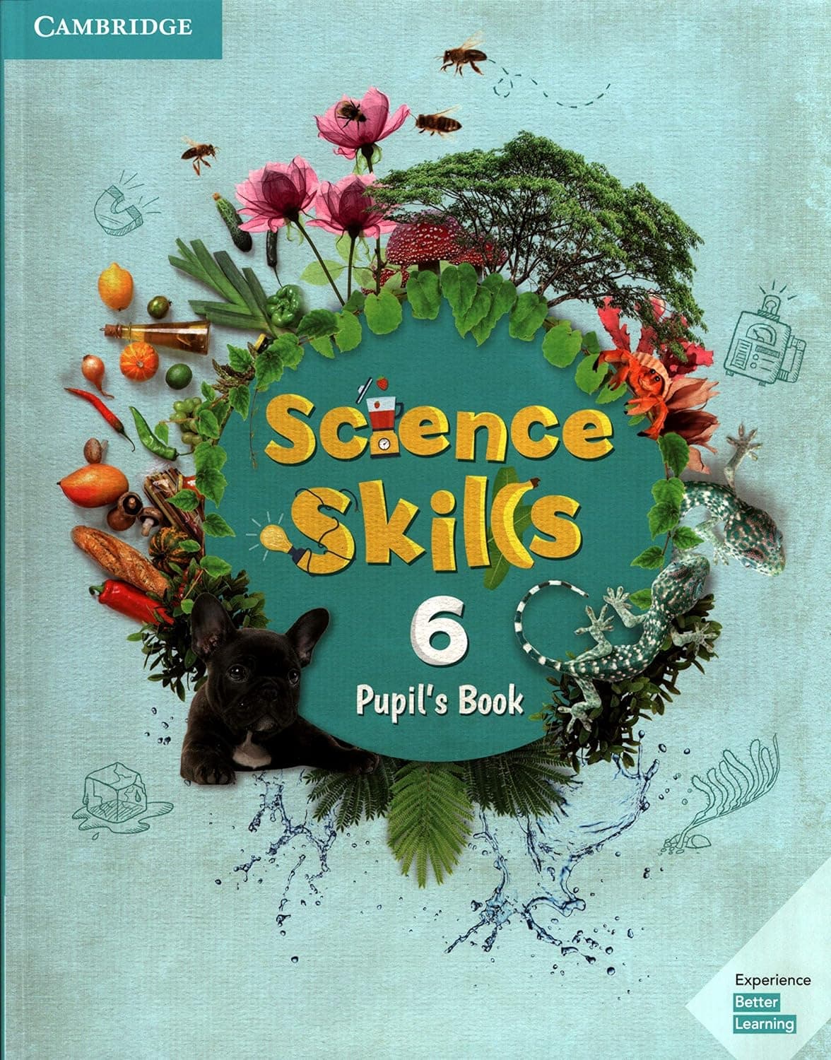 Cambridge Science Skills Pupil'S Book - Level 6