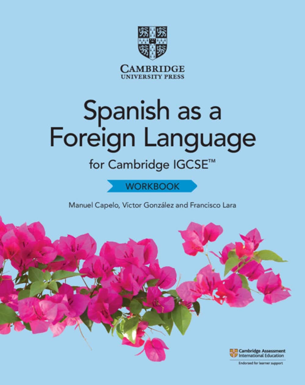 Cambridge Igcse Spanish Workbook 2Ed