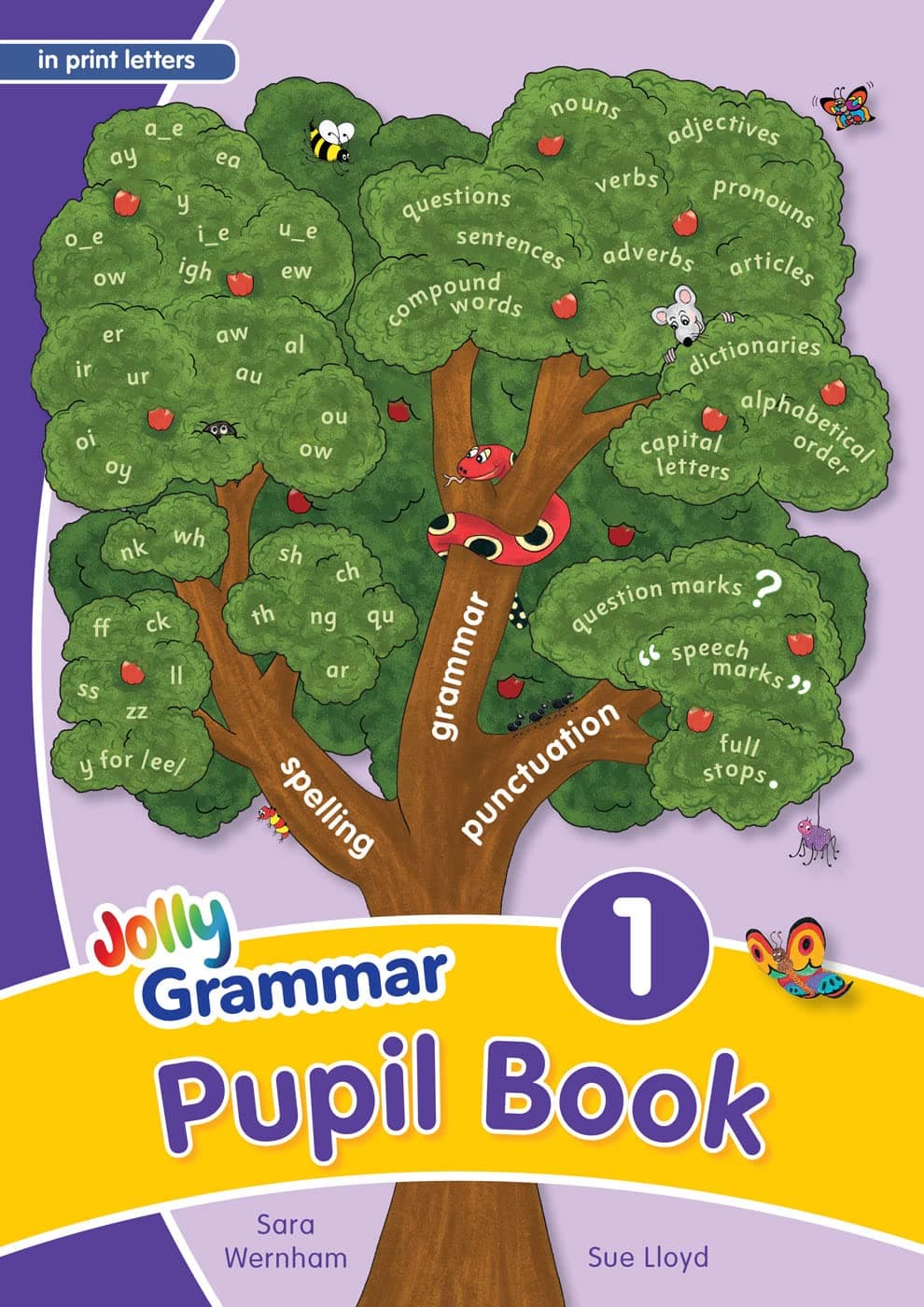 Grammar 1 Pupil Book (In Print Letters)