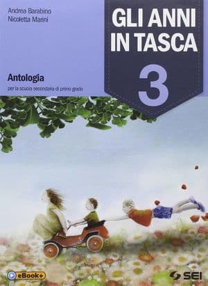 Copertina Anni In Tasca 3 (Gli)
