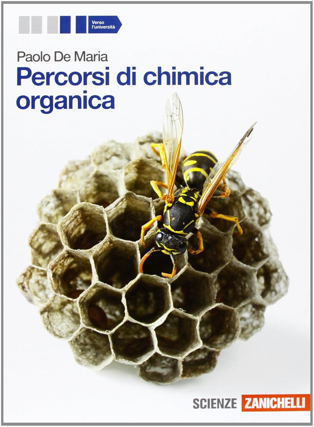 Percorsi Di Chimica Organica