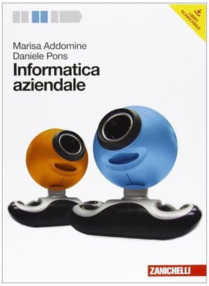 Copertina Informatica Aziendale Con Dvd (Lmm Libro Misto Multimediale)