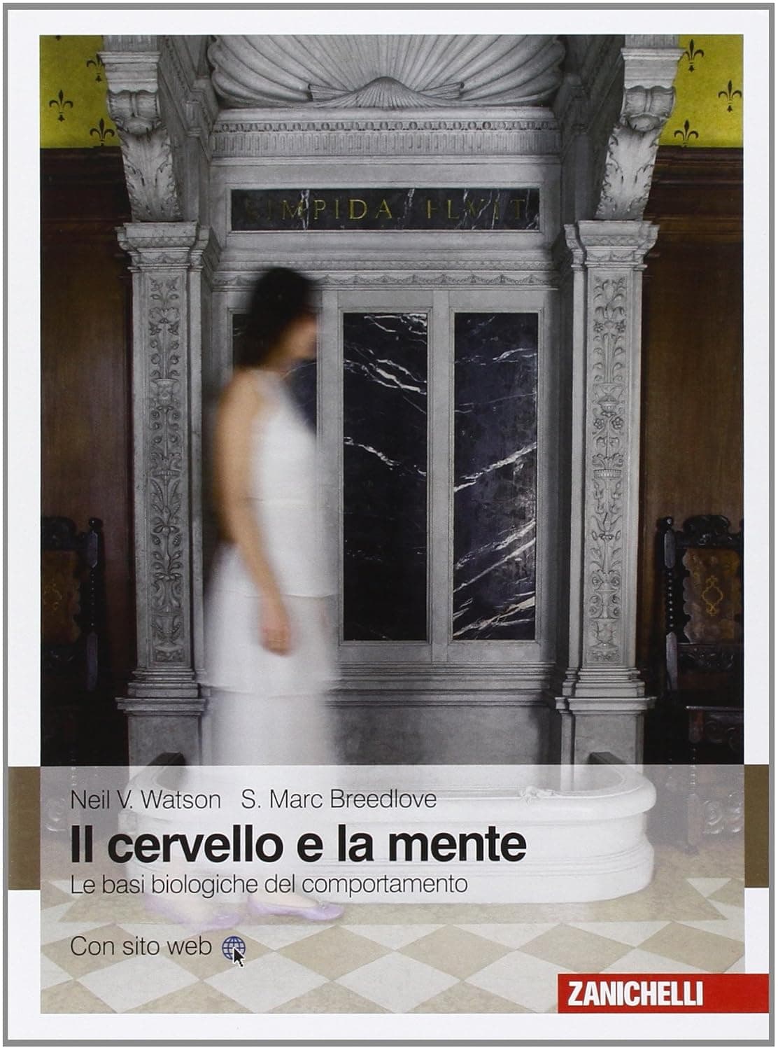 Il Cervello E La Mente