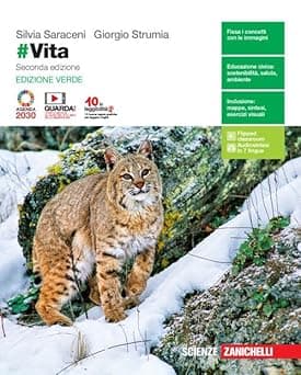 Copertina # Vita 2Ed. - Vol. Unico (Ldm)