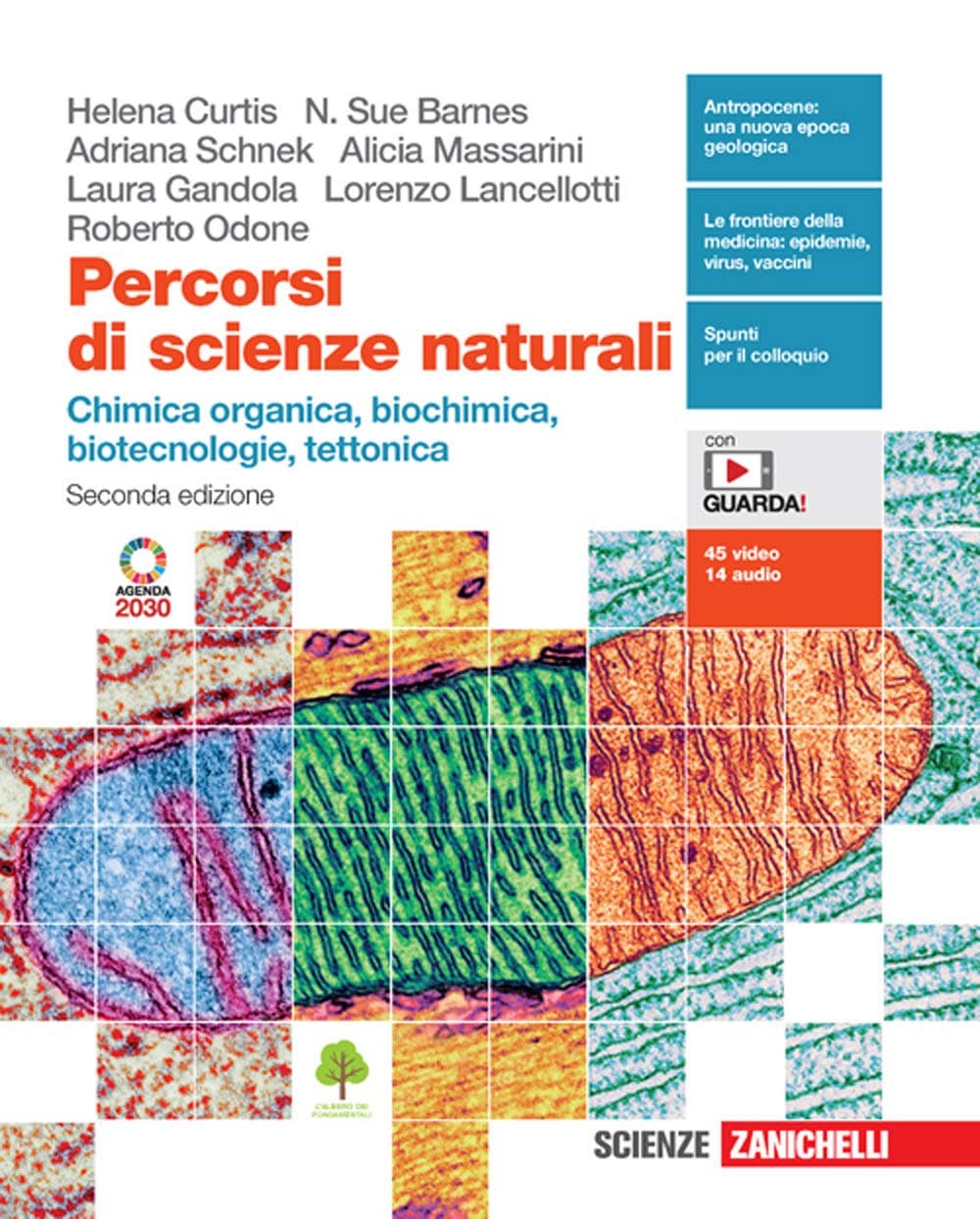 Percorsi Di Scienze Naturali 2Ed. + Tettonica (Ldm)