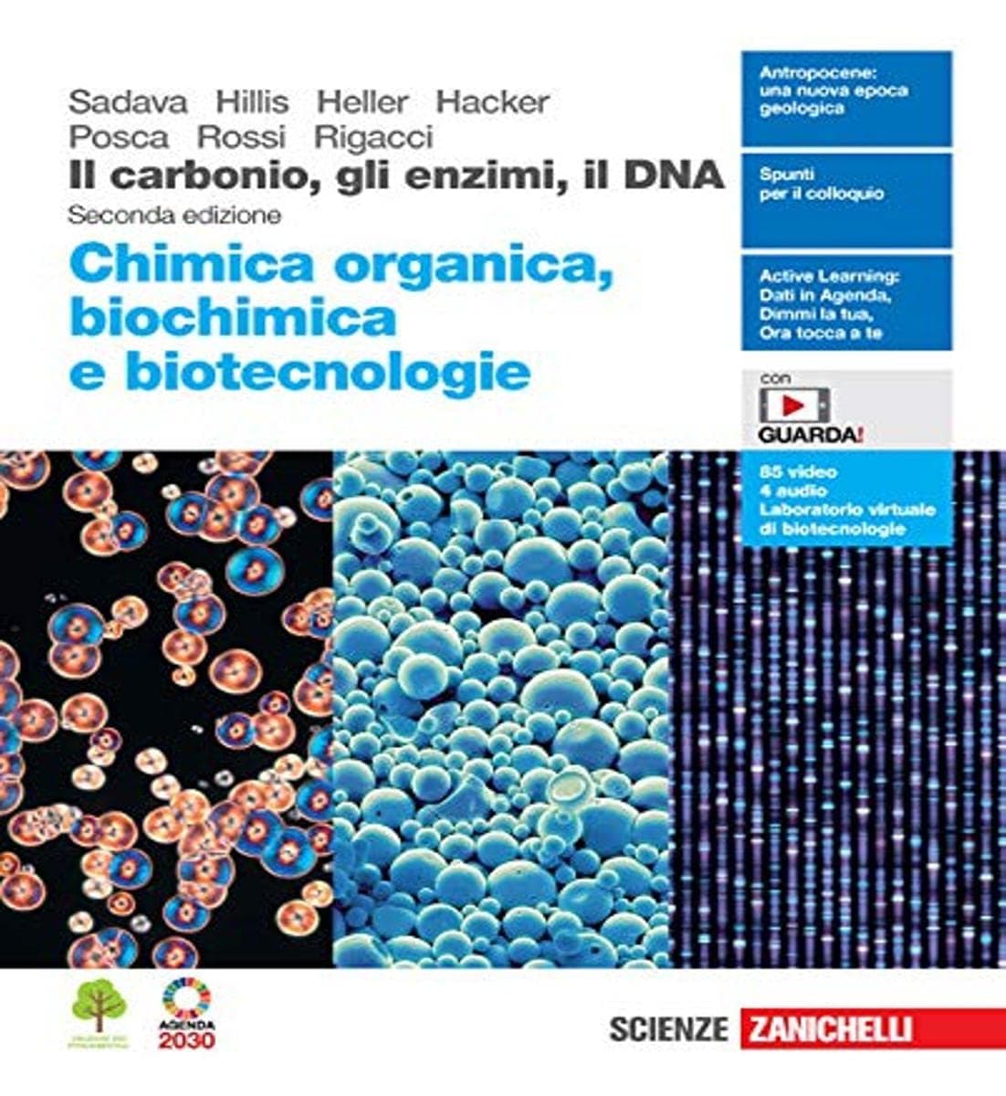 Carbonio, Gli Enzimi, Il Dna 2Ed. (Il). Organica, Biochim. Biotecn. (Ldm)