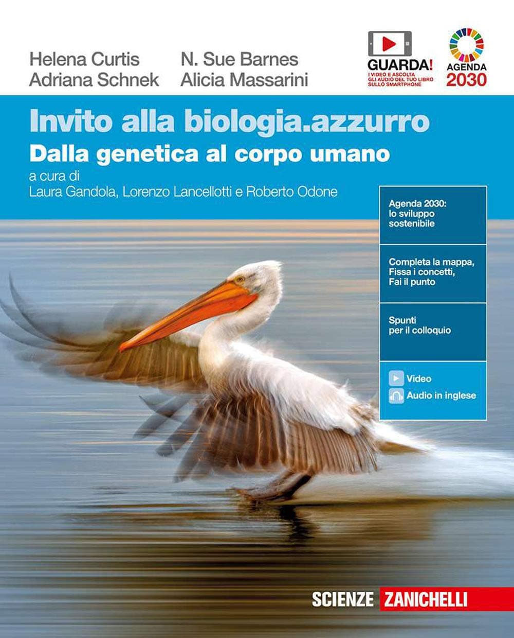 Invito Alla Biologia.Azzurro  - Dalla Genetica Al Corpo Umano (Ldm)