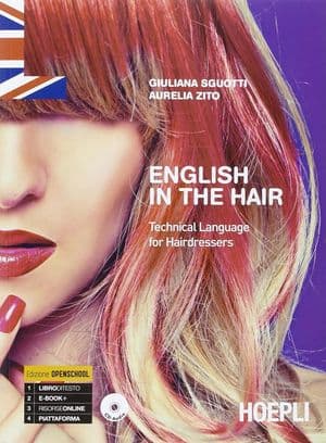 Copertina English In The Hair