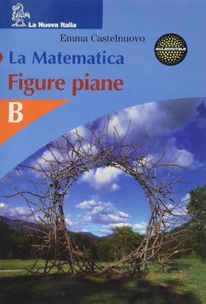 Copertina Matematica (La) -Figure Piane - B