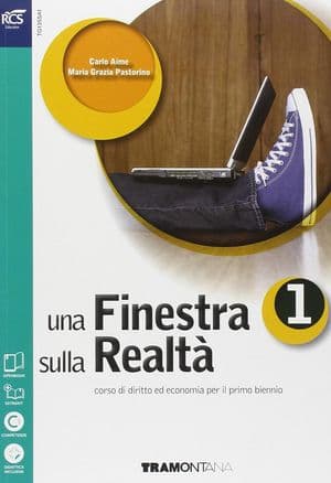 Copertina Finestra Sulla Realta' (Una) 1  Con Openbook