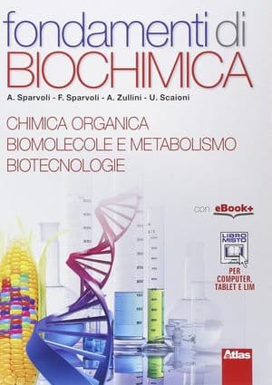 Copertina Fondamenti Di Biochimica