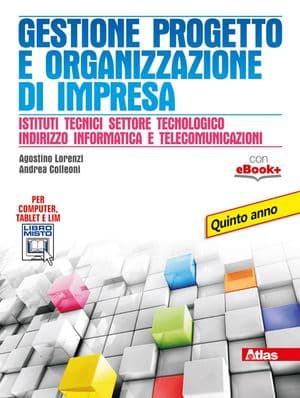 Copertina Gestione Progetto E Organizzazione D'Impresa