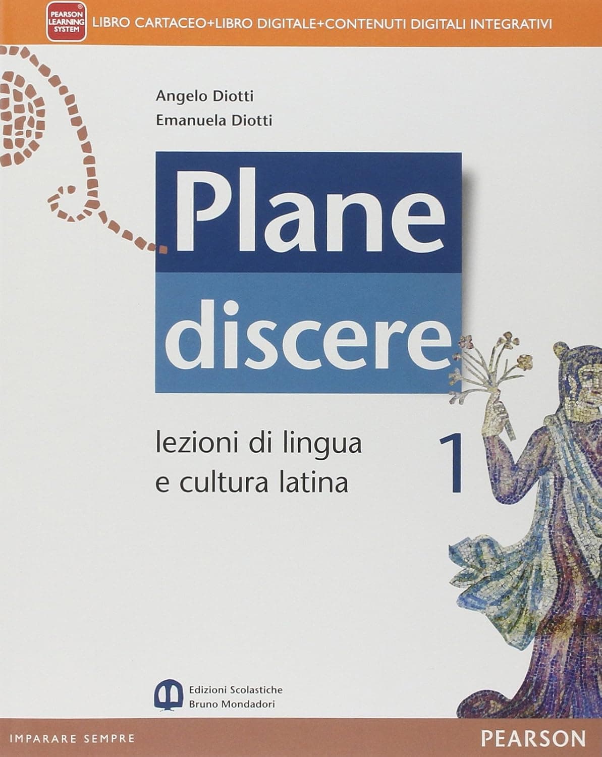 Plane Discere 1