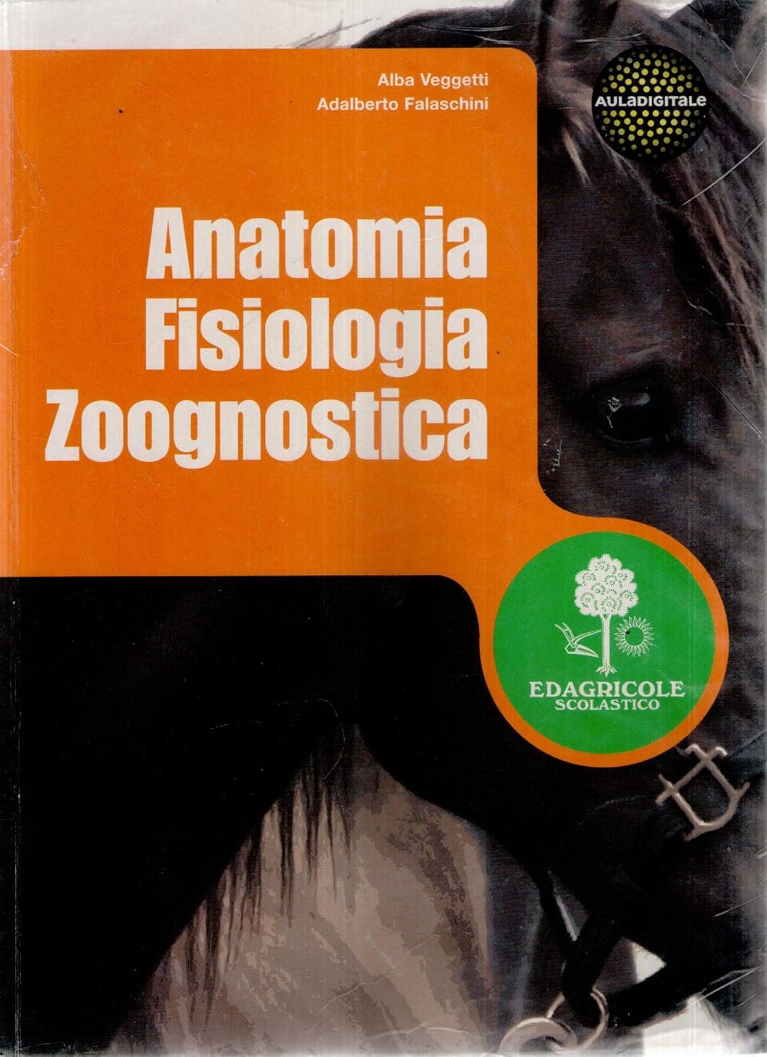 Anatomia Fisiologia Zoognostica