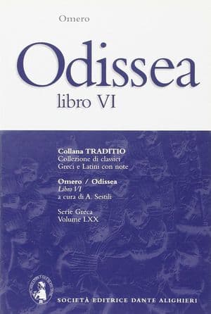 Copertina Odissea Libro Vi