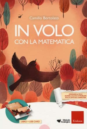 Copertina In Volo Con La Matematica