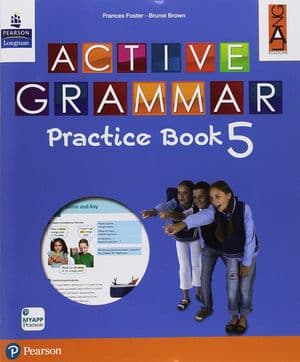 Copertina Active Grammar Practice Book Classe Quinta