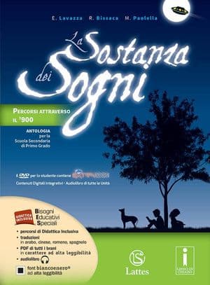 Copertina Sostanza Dei Sogni (La)
