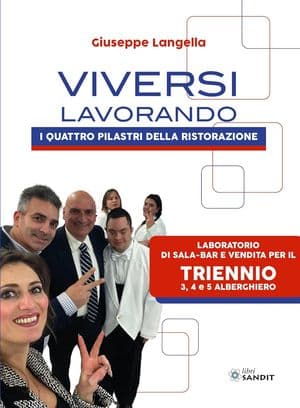 Copertina Viversi Lavorando