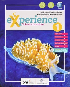 Copertina Experience Volume 1 + Scienze Block +