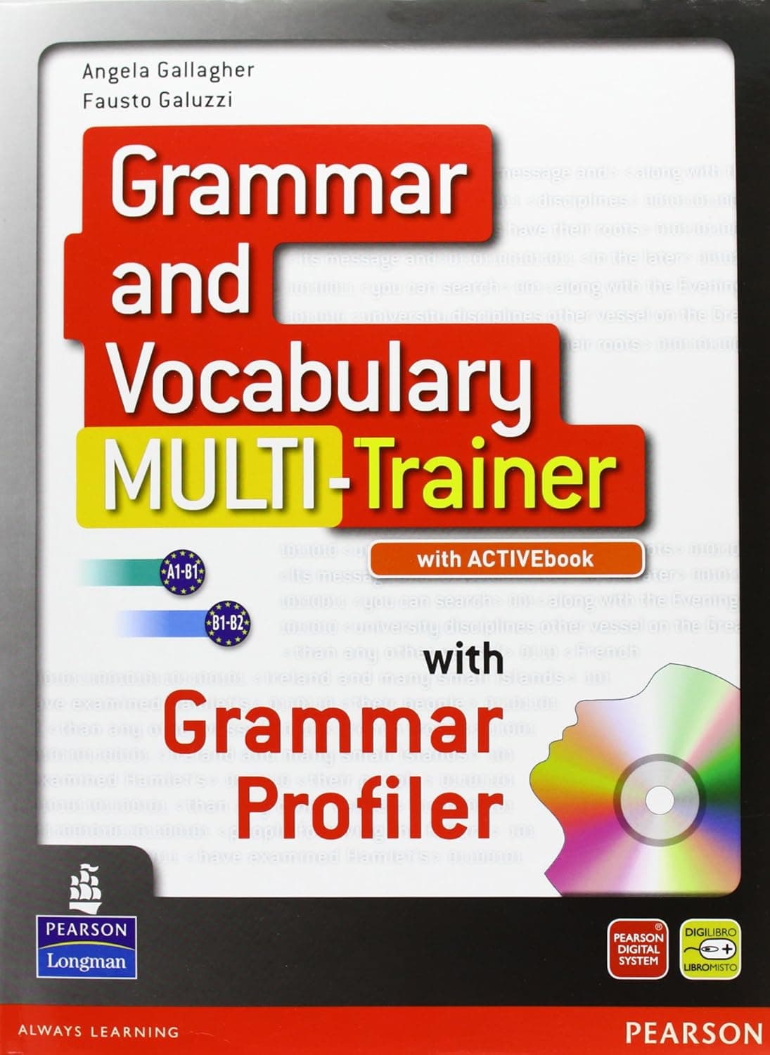 Grammar And Vocabulary Multitrainer + Activebook