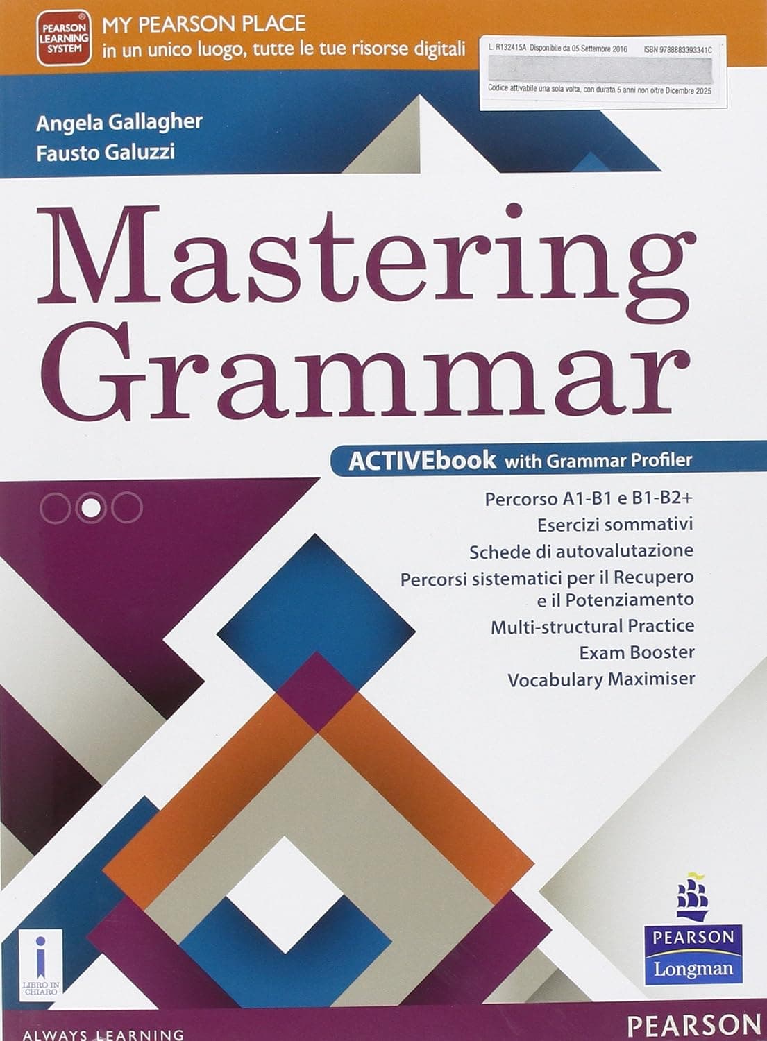 Mastering Grammar