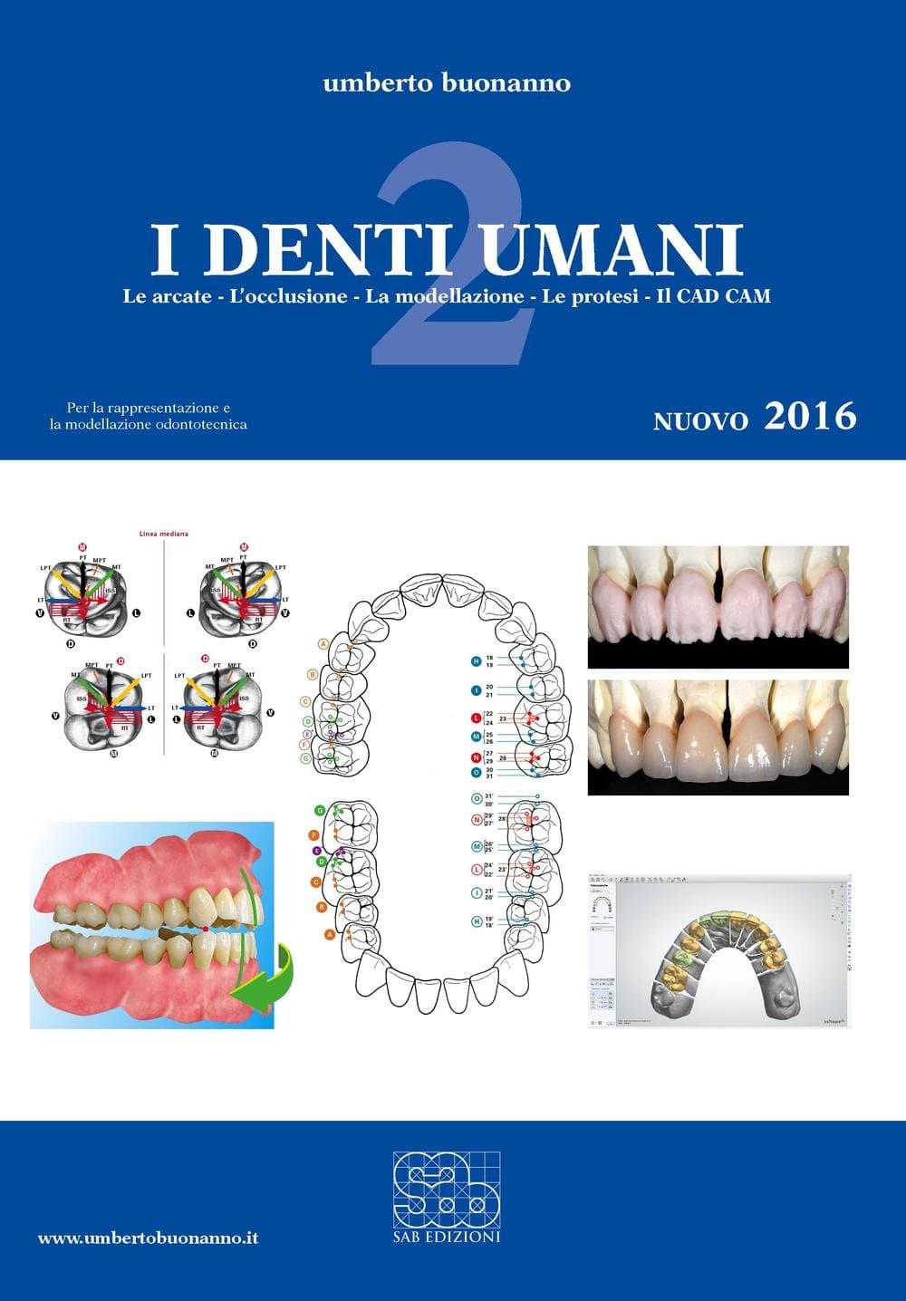 Denti Umani 2 (I)