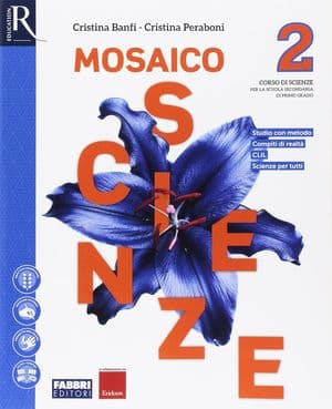 Copertina Mosaico Scienze 2 Libro Misto Con Hub Libro Young