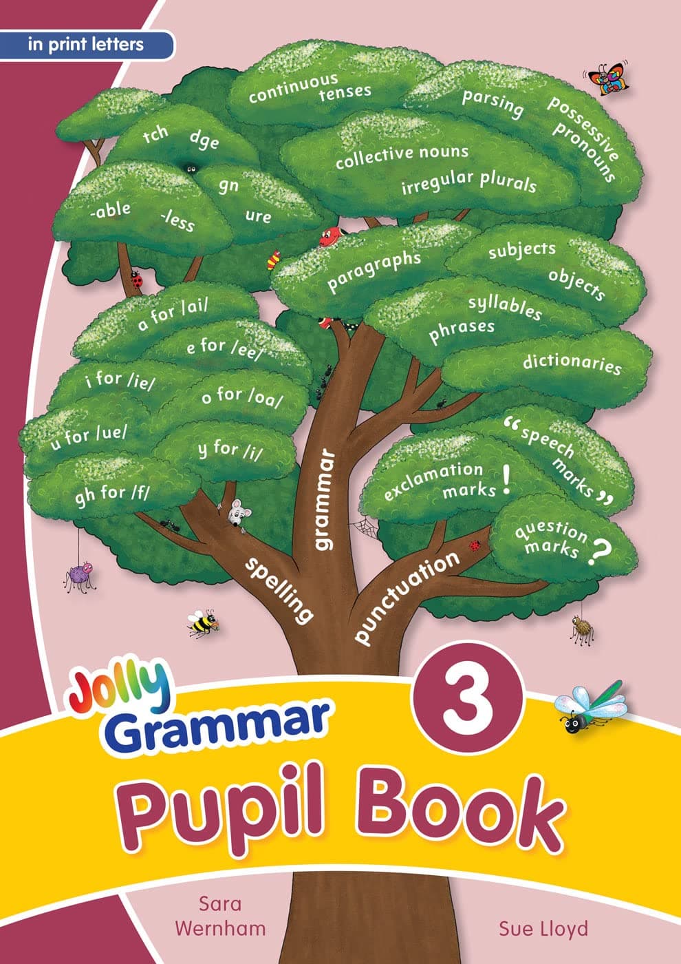 Grammar 3 Pupil Book (In Print Letters)