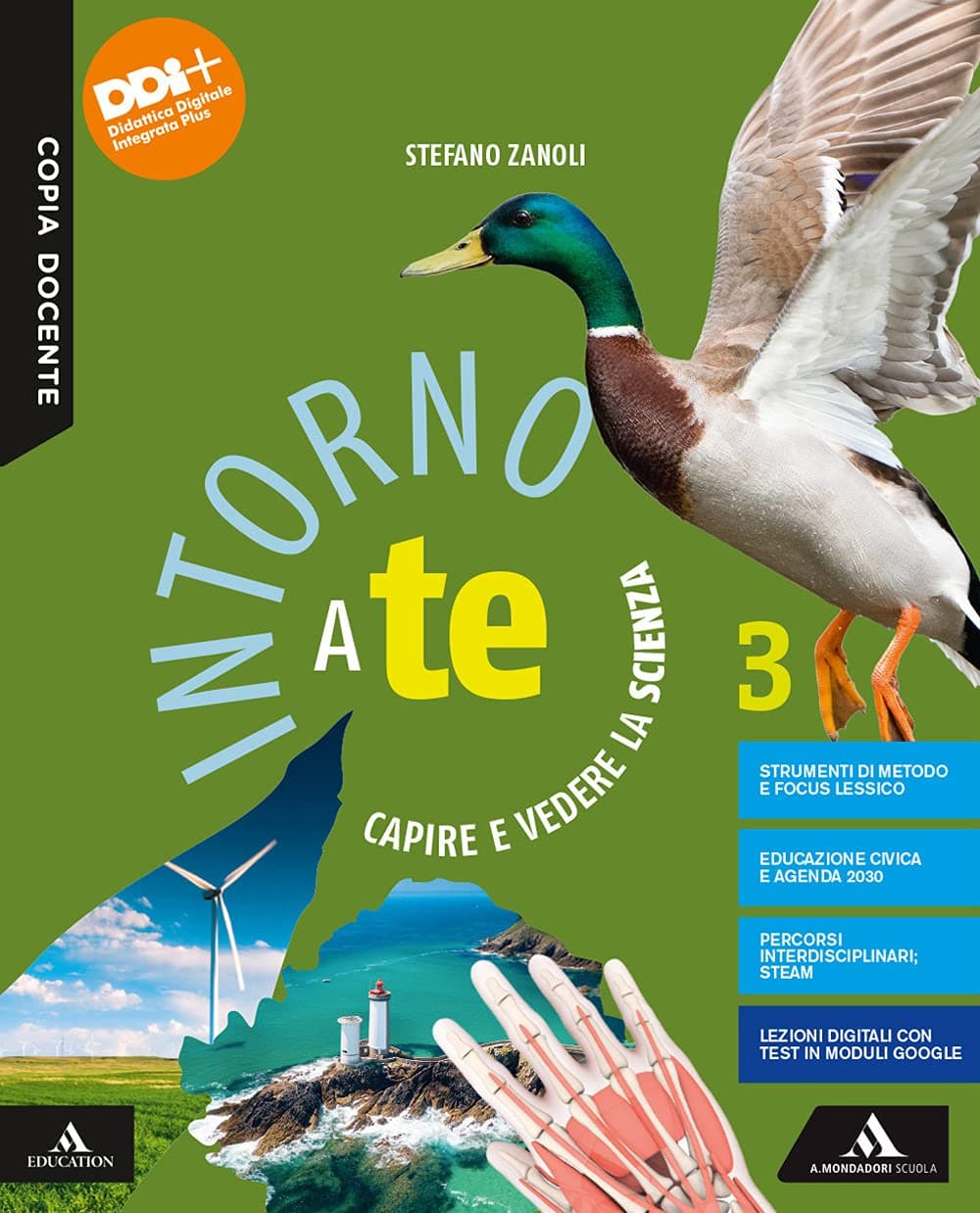 Intorno A Te