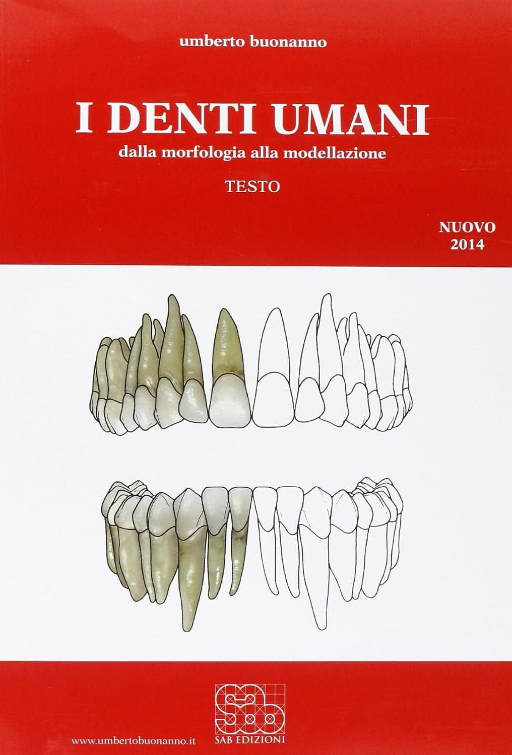 Denti Umani