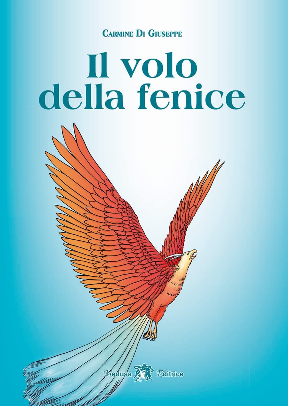 Volo Della Fenice ( Il )