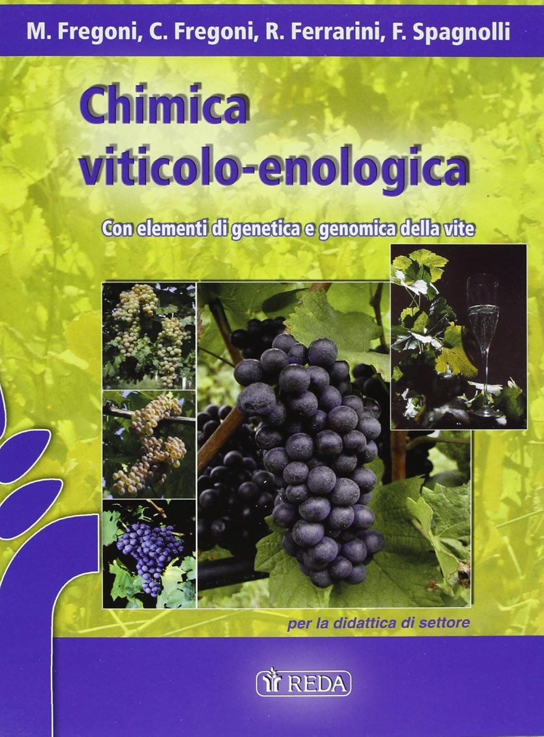 Chimica Viticolo Enologica