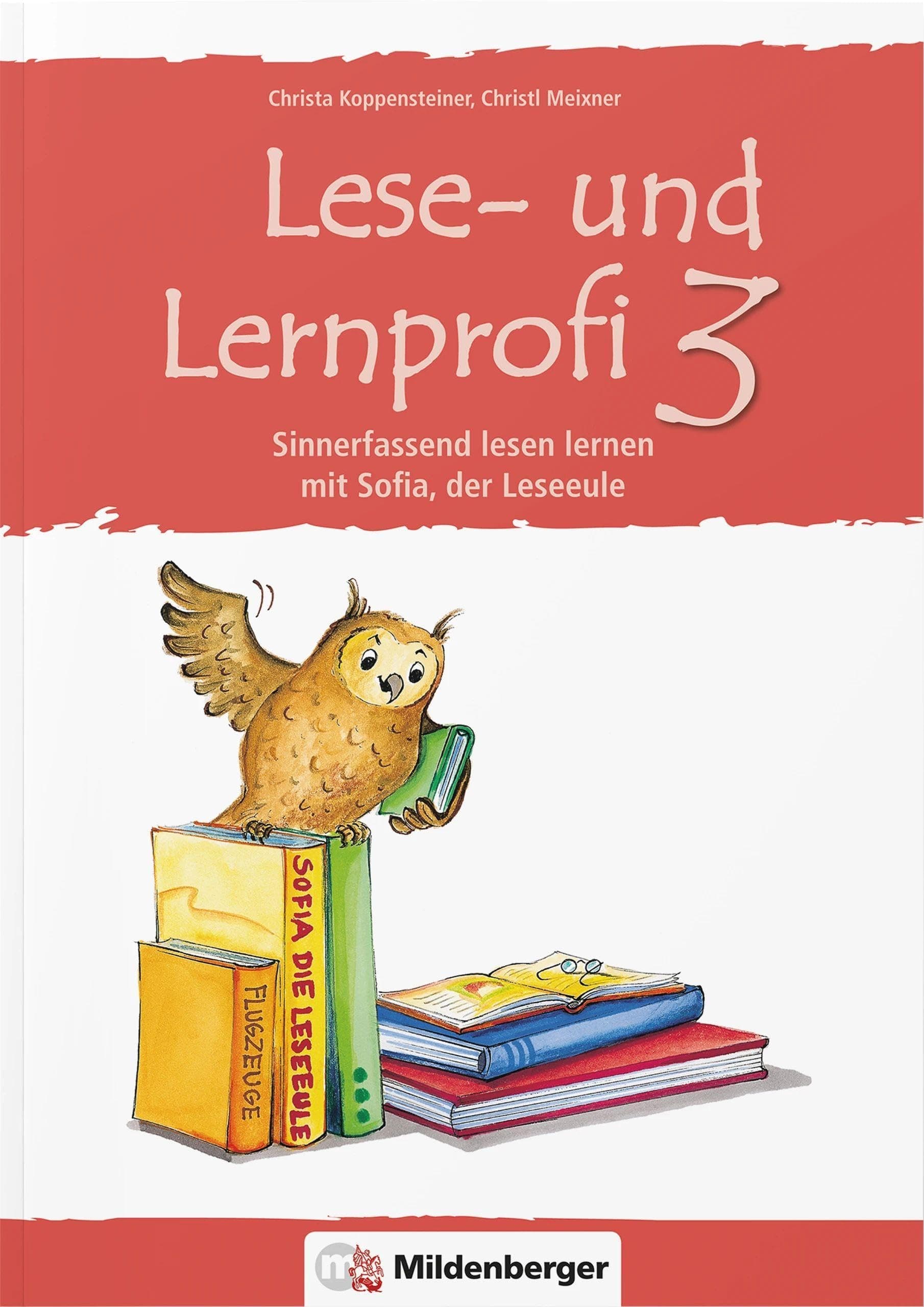 Lese Und Lernprofi 3 - Arbeitsheft