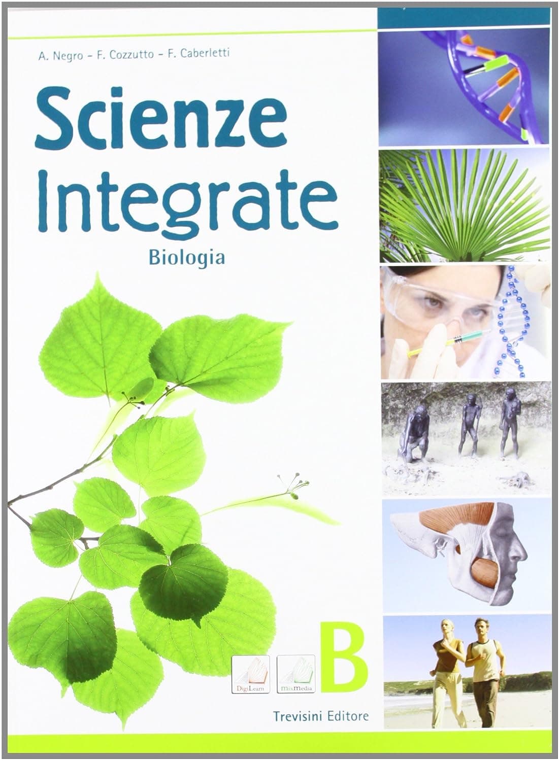 Scienze Integrate - B