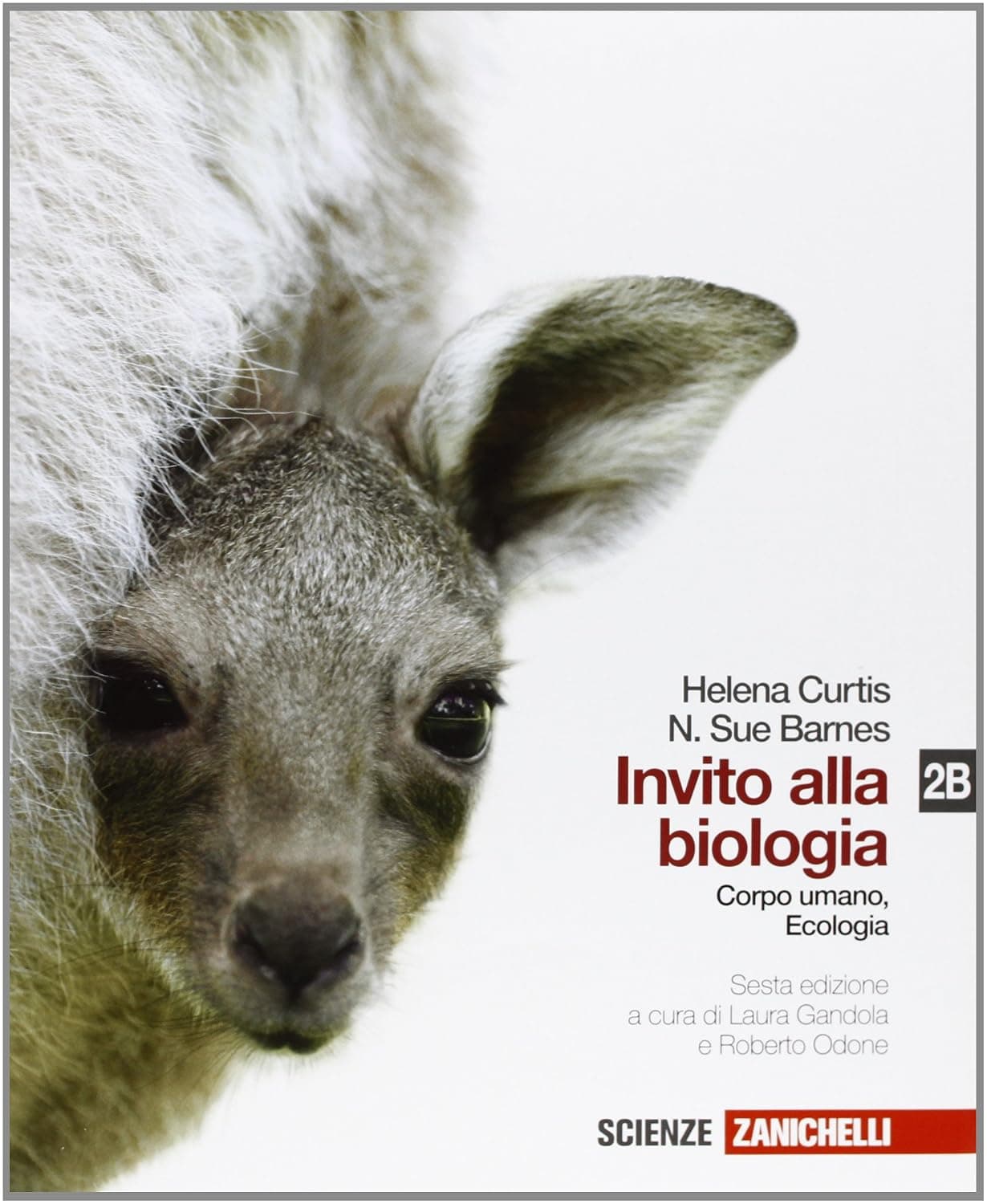 Invito Alla Biologia 6Ed. - Volume 2B (Lm Libro Misto)