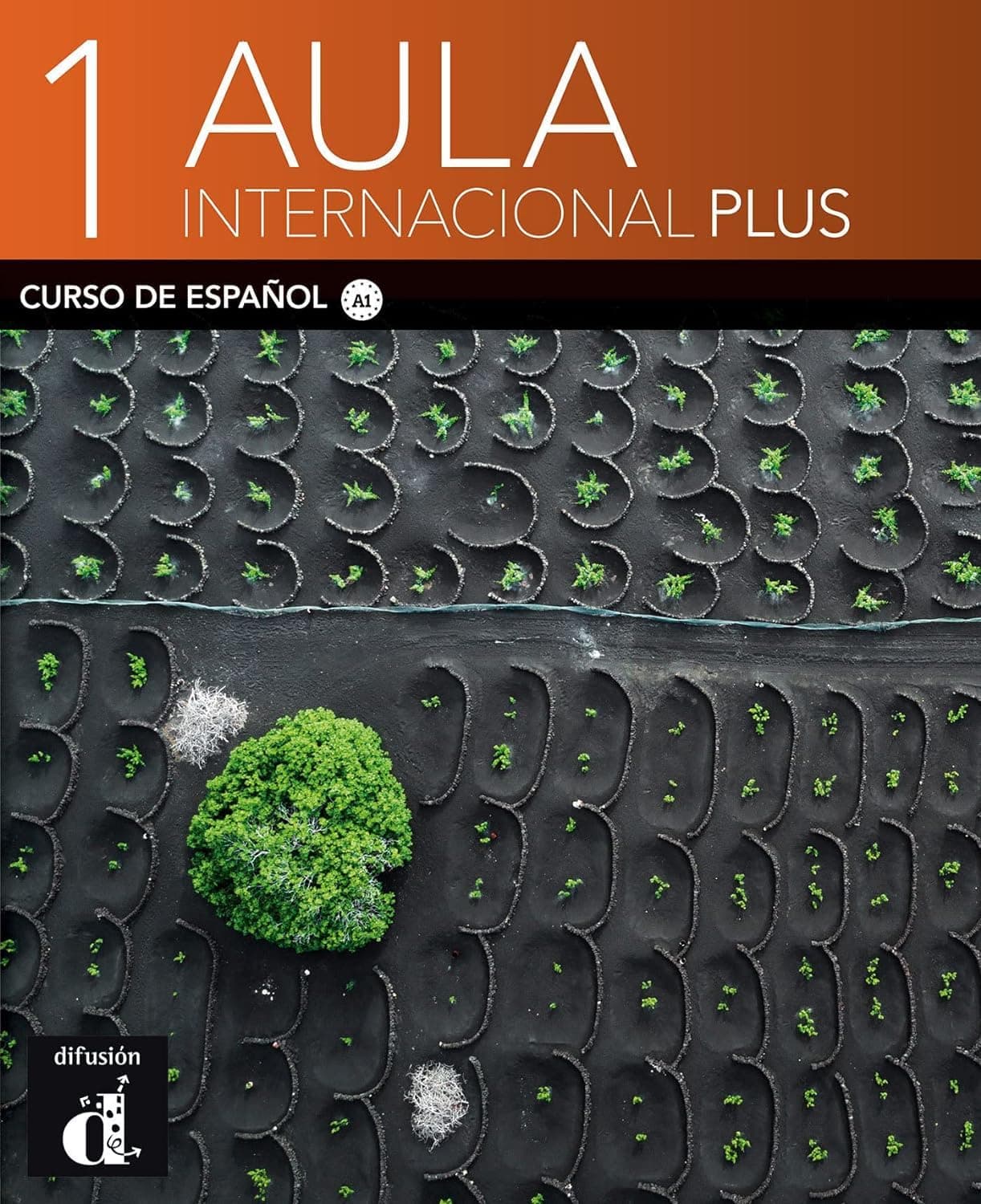 Aula Internacional Plus 1 Ed. Italiana