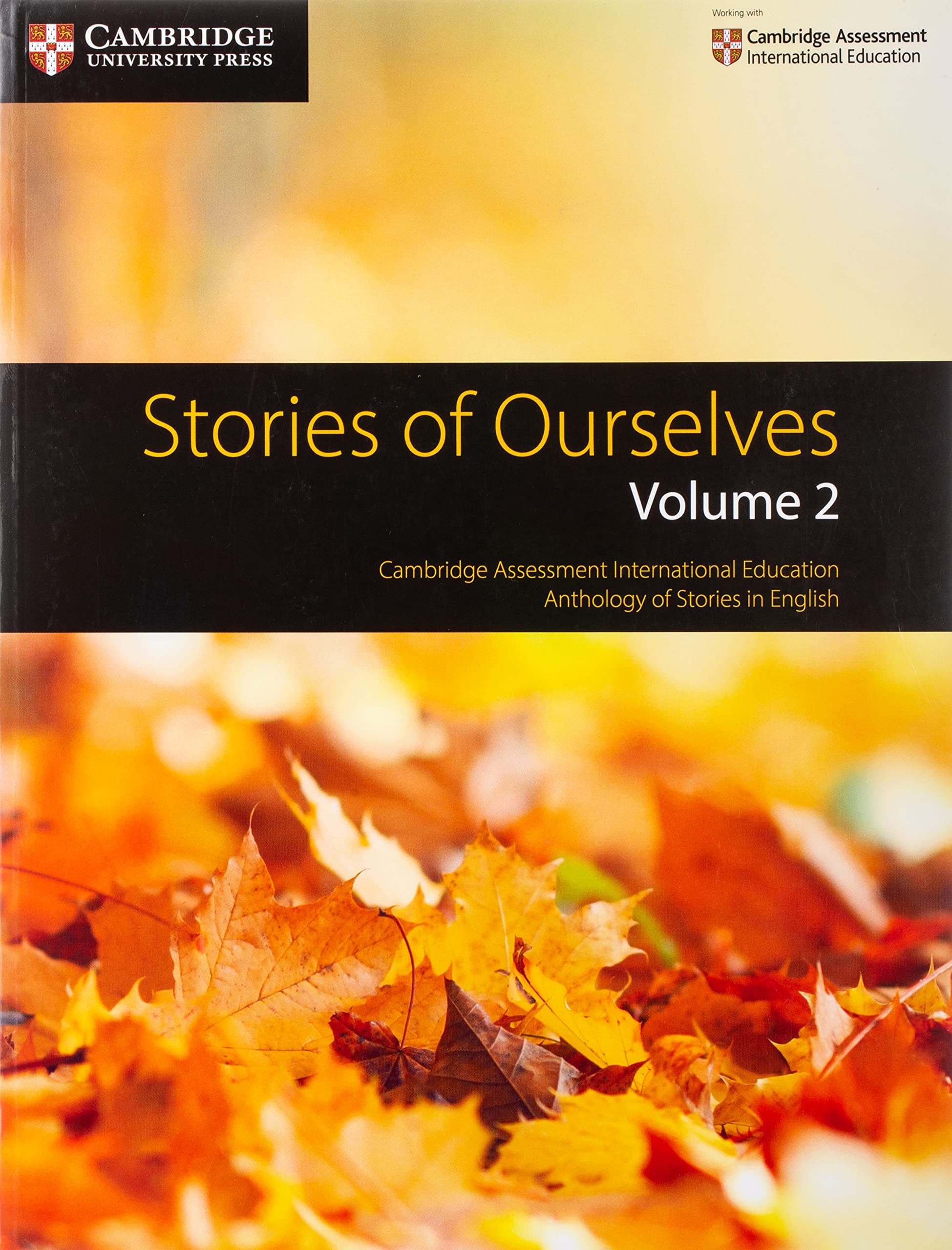 Stories Of Ourselves Vol.2