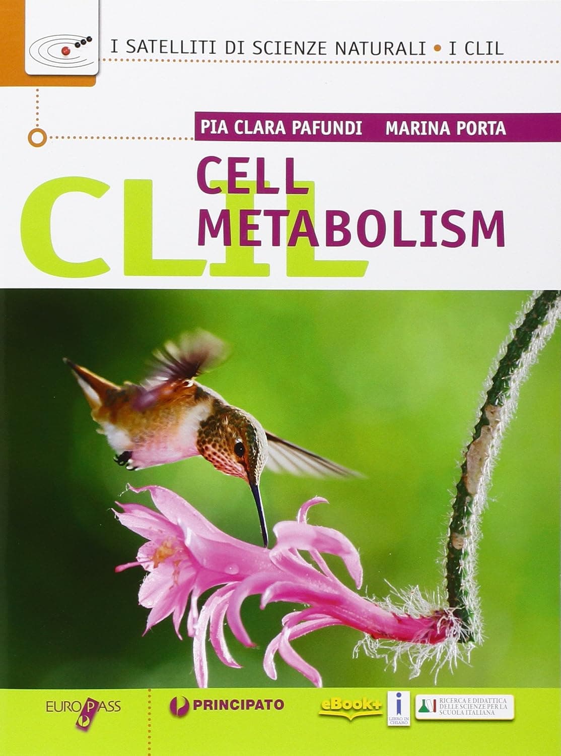 Clil - Cell Metabolism