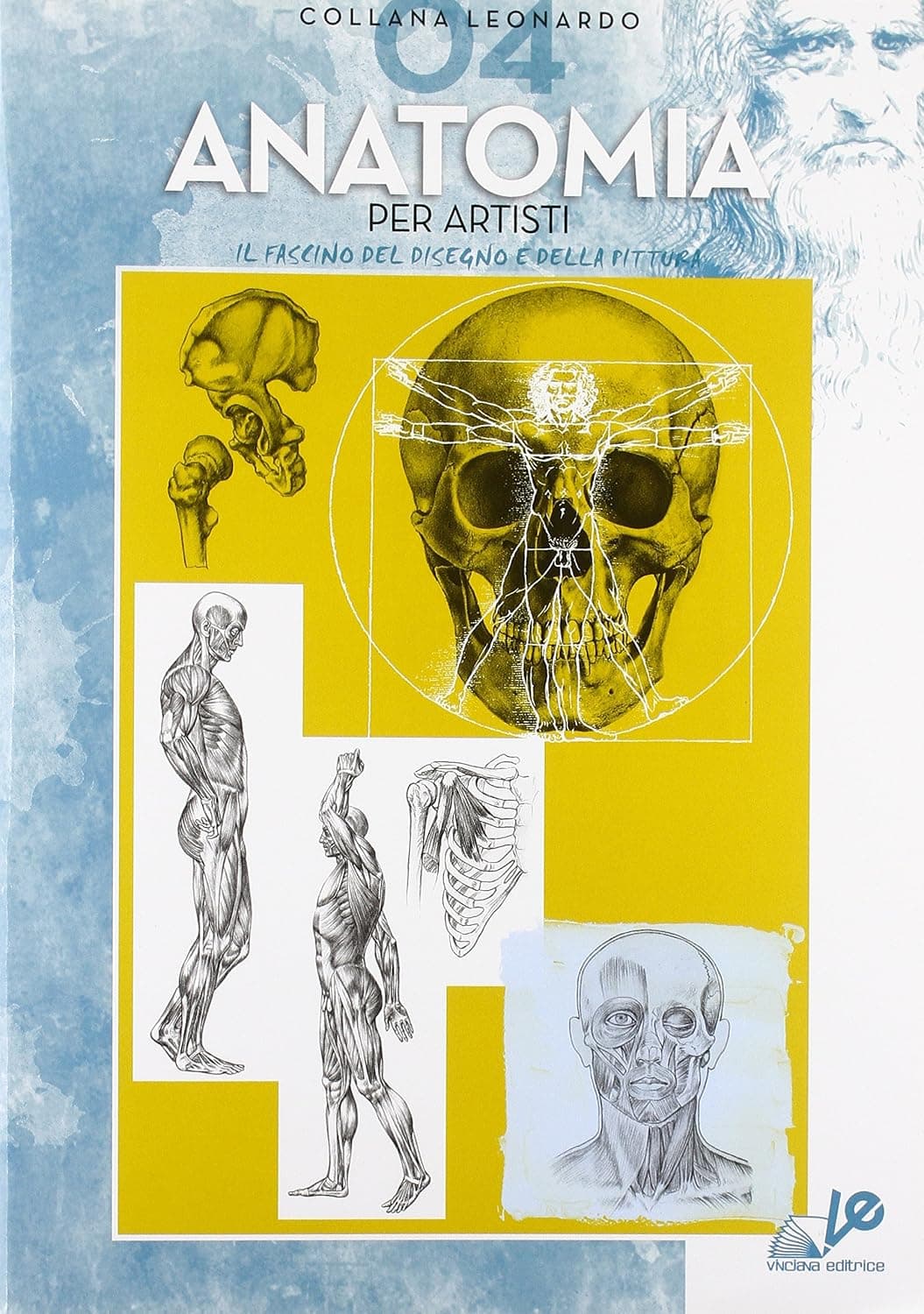 Anatomia N.4