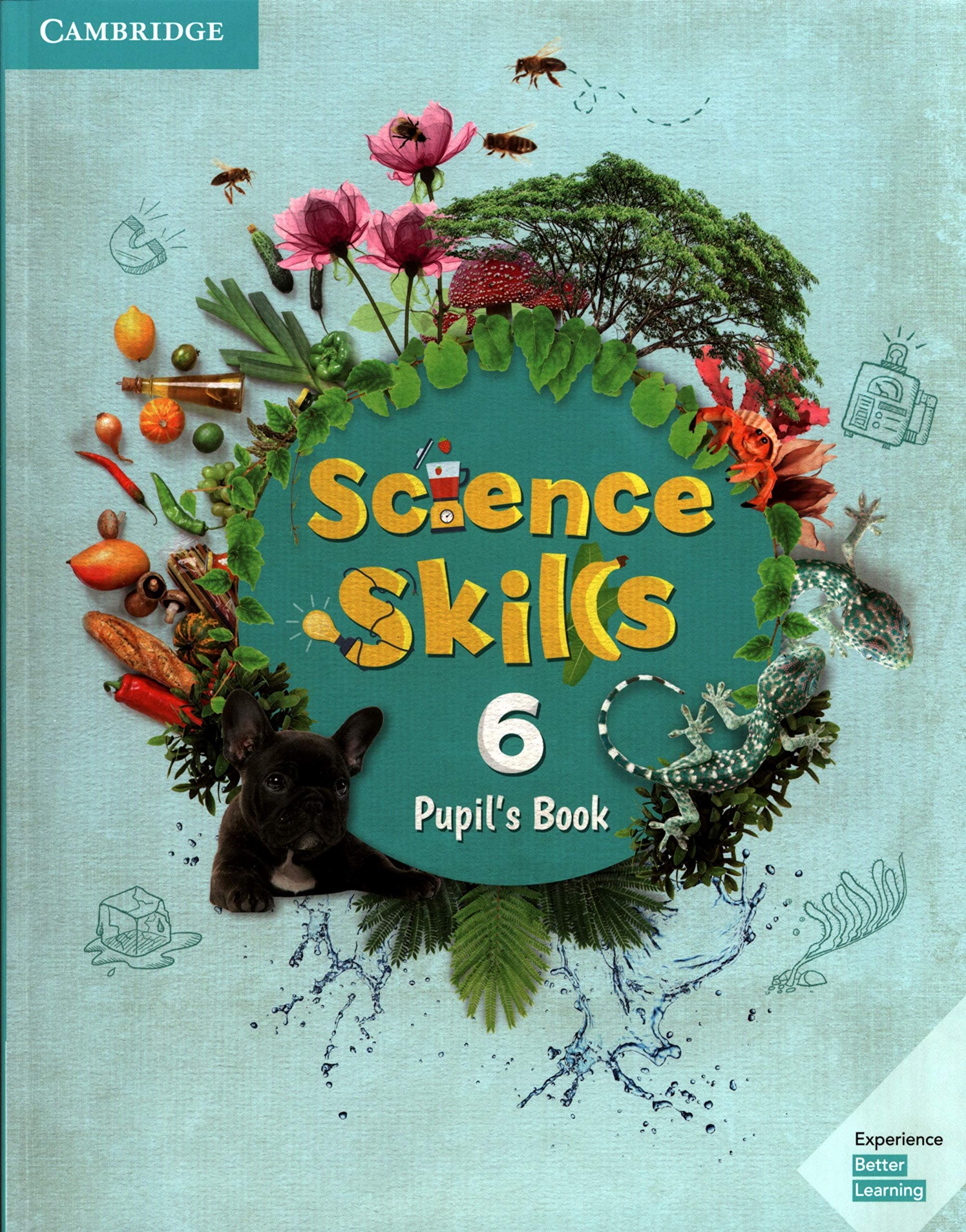 Cambridge Science Skills Pupil'S Book - Level 6
