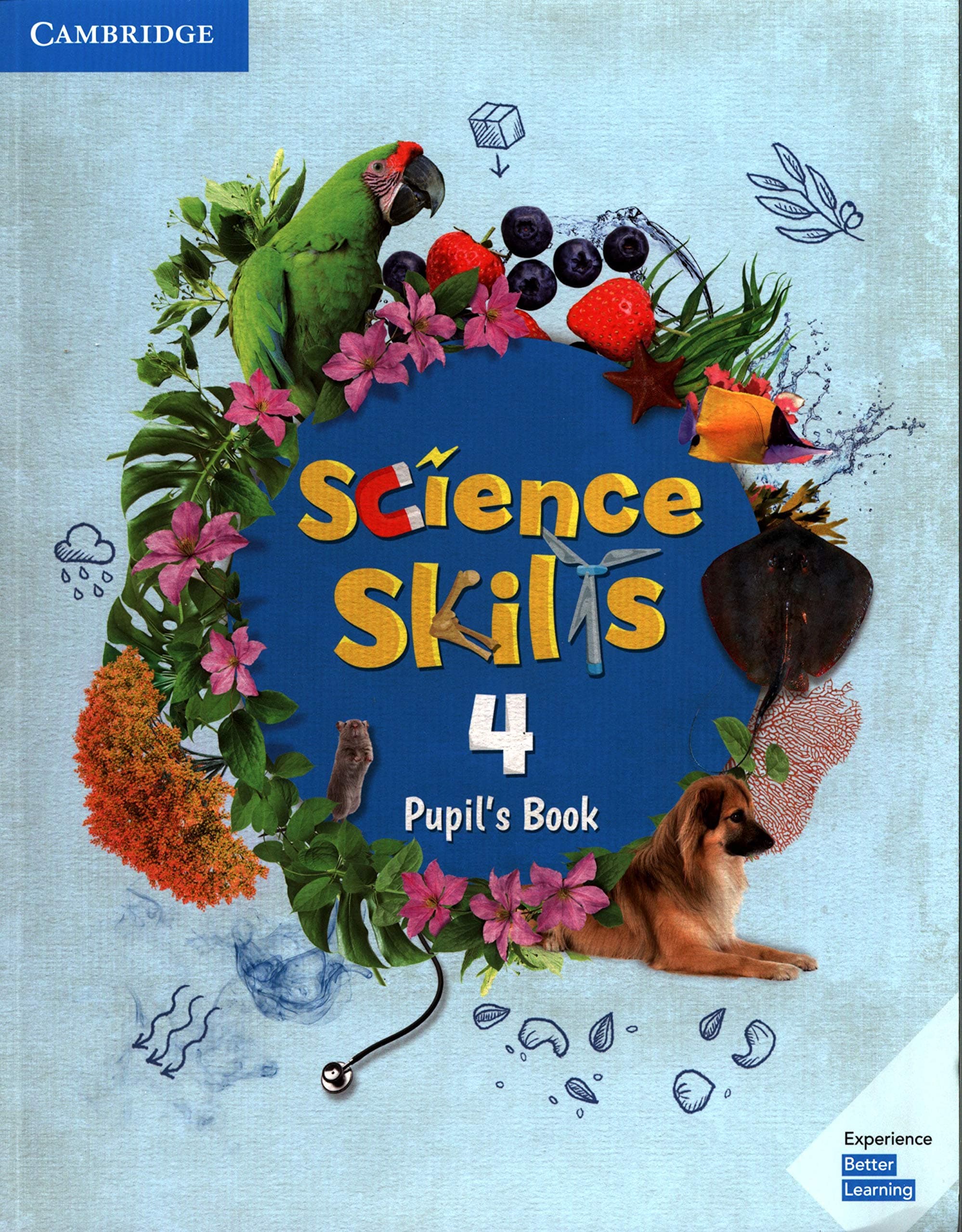 Cambridge Science Skills Pupil'S Book - Level 4